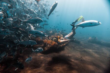 Young woman snorkeling and skin dives in the tropical sea with the fishの写真素材