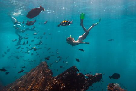 Young woman snorkeling and skin dives in the tropical sea over the shipwreck. USAT Liberty shipwreck in Bali, Indonesiaの写真素材