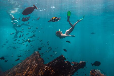 Young woman snorkeling and skin dives in the tropical sea over the shipwreck. USAT Liberty shipwreck in Bali, Indonesia