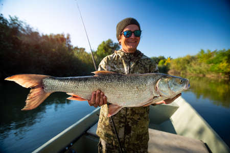 Happy fisherman holds the trophy Asp fish (Leuciscus aspius) and smilesの写真素材
