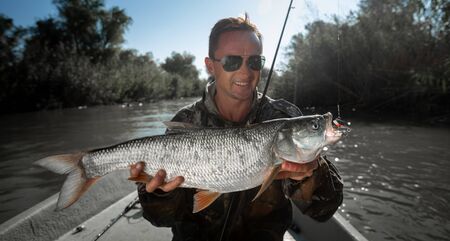 Fisherman holds the big Asp (Leuciscus aspius) and smilesの写真素材