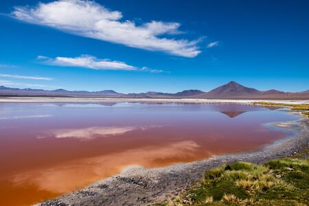 Salty lake with orange water (color as is, natural, without any color correction) named Laguna Colorada in Bolivian Altiplano, Boliviaの写真素材