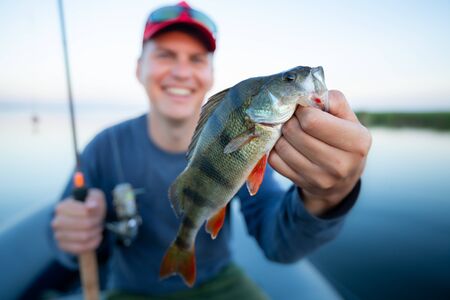Happy amateur angler holds perch fish (Perca fluviatilis) in one hand and fishing rod in the other. Fisherman shows the fish and smiles being on the lake. Image with shallow DOF and focus on the fish onlyの写真素材