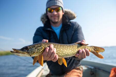Young fisherman holds the pike fish (Esox lucius) being in the boatの写真素材