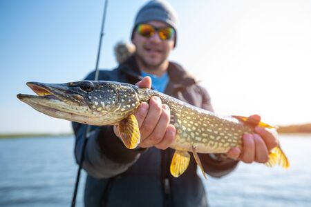 Young fisherman holds the pike fish (Esox lucius) being in the boatの写真素材