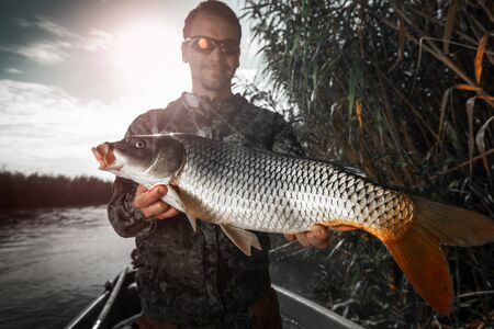 Young amateur angler stands in the boat and holds the big Carp fish (Cyprinus carpio) being on the riverの写真素材