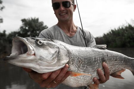 Amateur angler stands in the boat, smiles and holds the trofy Asp fish (Leuciscus aspius)の写真素材