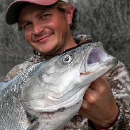 Young angler holds the trophy Asp fish (Leuciscus aspius) and smiles. Focus on the fishの写真素材