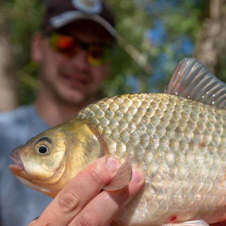 Young happy angler holds the fish (Carassius) and smiles with natural forest backgroundの写真素材