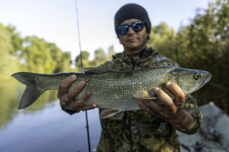Fisherman holds Asp fish with natural backgroundの写真素材