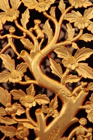 monkey patternの写真素材