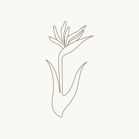 Vector outline tulip flower. Hand drawn doodle illustration.のイラスト素材