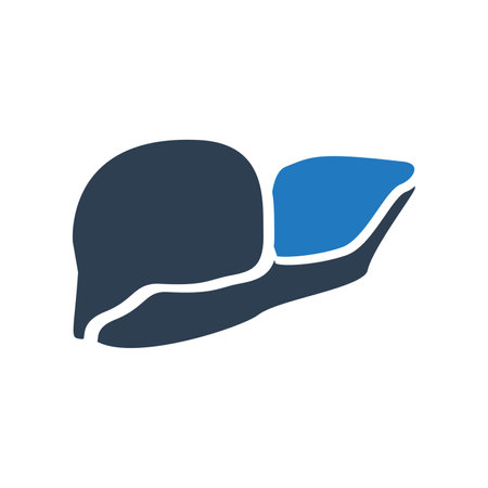 Liver icon vector isolated on white background for your web and mobile app design, Liver logo conceptのイラスト素材