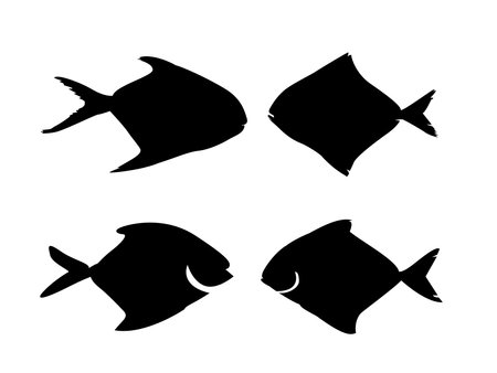 Set of black silhouettes of fish on a white background. Vector illustrationのイラスト素材