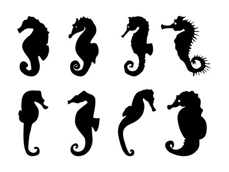 Set of seahorse silhouettes isolated on white background. Vector illustration.のイラスト素材