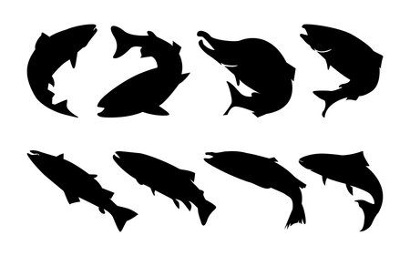 Set of black silhouettes of fish on a white background. Vector illustrationのイラスト素材