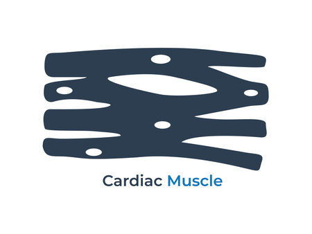 Cardiac Muscle Tissue flat icon vector illustration. Medical icon vectorのイラスト素材