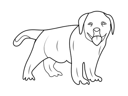 Labrador Puppy dog Coloring page or Book for kids. Labrador puppy vector illustrationのイラスト素材