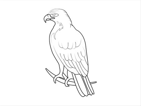 Eagle Line art vector Illustration for coloring page. An eagle sitting on a branchのイラスト素材