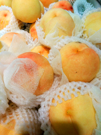 honey peachの写真素材