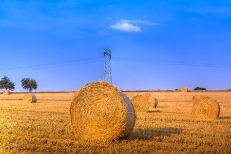 Hay bale in the harvest timeの写真素材