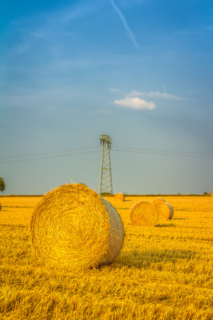 Haye bale in the harvest timeの写真素材