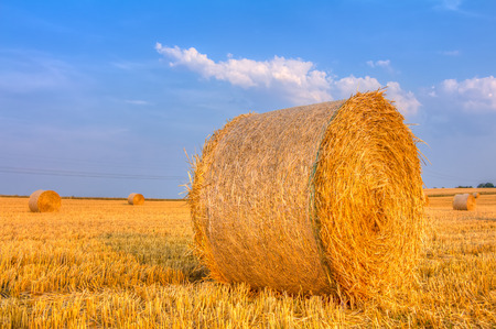 Haye bale in the harvest timeの写真素材