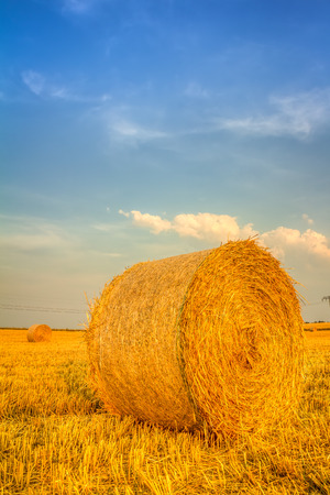 Haye bale in the harvest timeの写真素材