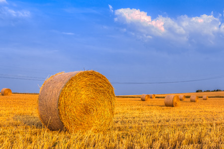 Haye bale in the harvest timeの写真素材