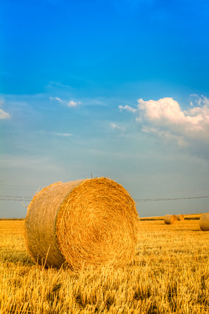 Haye bale in the harvest timeの写真素材