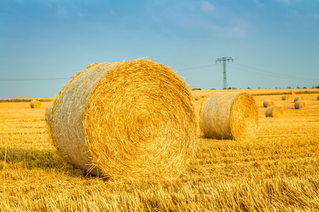 Haye bale in the harvest timeの写真素材