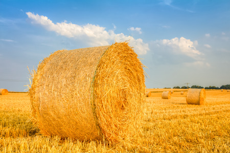 Haye bale in the harvest timeの写真素材