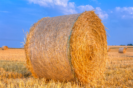 Haye bale in the harvest timeの写真素材