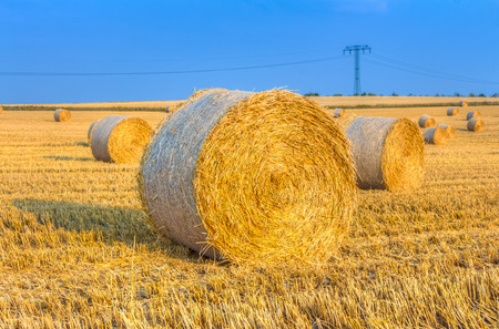 Haye bale in the harvest timeの写真素材