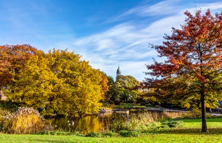 Autumn in the Planten und Blomen park of Hamburgの写真素材