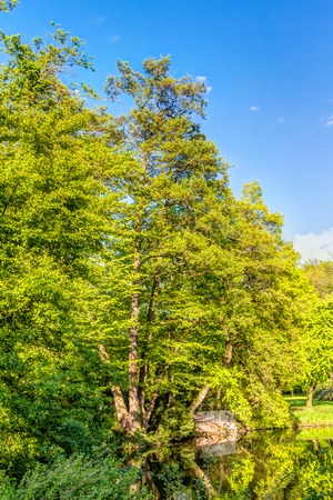 Schontal Park in Aschaffenburg in Bavaria, Germanyの写真素材