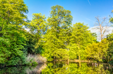 Schontal Park in Aschaffenburg in Bavaria, Germanyの写真素材