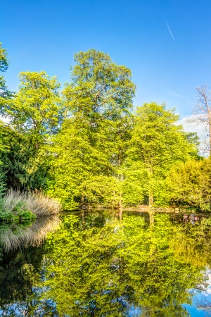 Schontal Park in Aschaffenburg in Bavaria, Germanyの写真素材