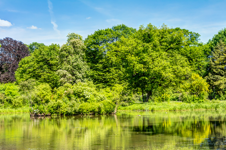 English garden in Muskau Park in the Upper Lusatia, Germanyの写真素材