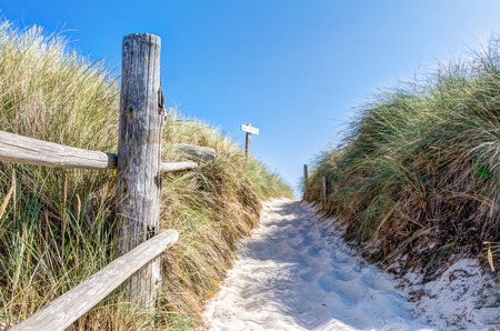 Beach and dunes with beachgrass in summer at the Baltic Sea, Germanyの写真素材