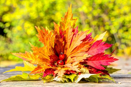 Colorful autumn leaves lovely arranged in a bunch