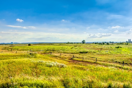 Agricultural area in summer with blue sky and white clouds in Germanyの写真素材
