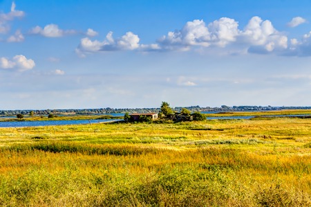 Agricultural area in summer with blue sky and white clouds in Germanyの写真素材