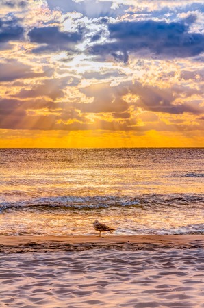 Wonderful sunrise at the beach in summerの写真素材