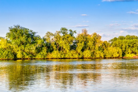 Rhine river bank with colourful trees at the bankの写真素材