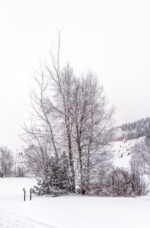 Landscape of snowy mountains in the highlands near Altenberg, Saxony in Germanyの写真素材