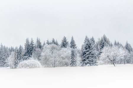 Landscape of snowy mountains in the highlands near Altenberg, Saxony in Germanyの写真素材