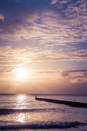 Coastline with a special dreamy mood on the beachの写真素材