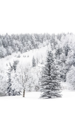 Landscape of snowy mountains in the highlands near Altenberg, Saxony in Germanyの写真素材