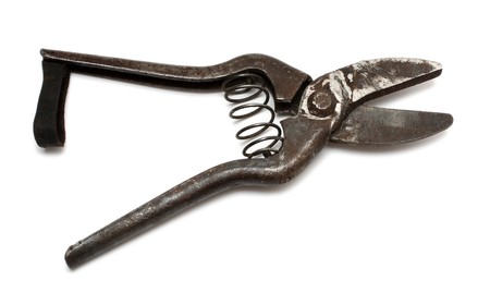 old rusty gardening scissors isolated on whiteの写真素材